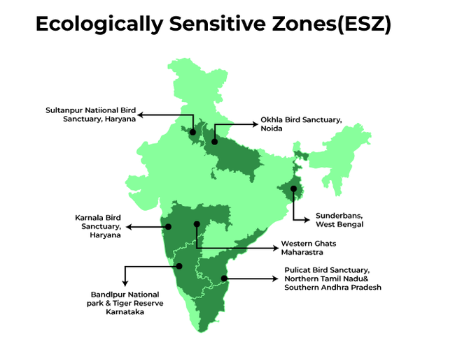 eco-sensitive-zones-upsc-what-are-esz-what-are-the-activities-that